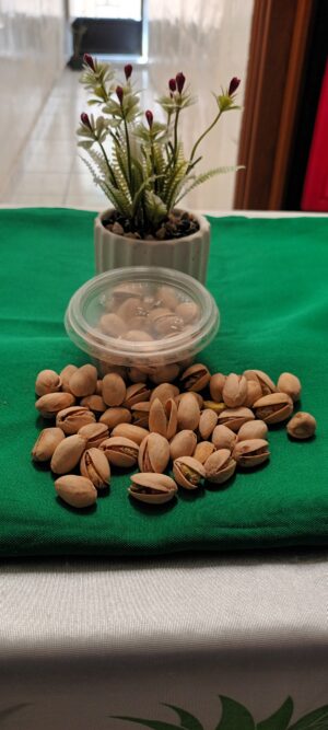 20260515_131256.jpg Semillas pistacho